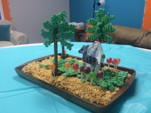 IMG951261